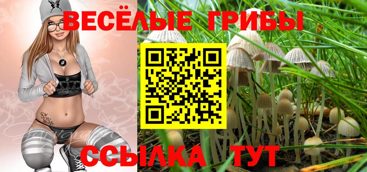 что такое   Псилоцибиновые грибы ЛСД  Вход с VPN  Тосно 